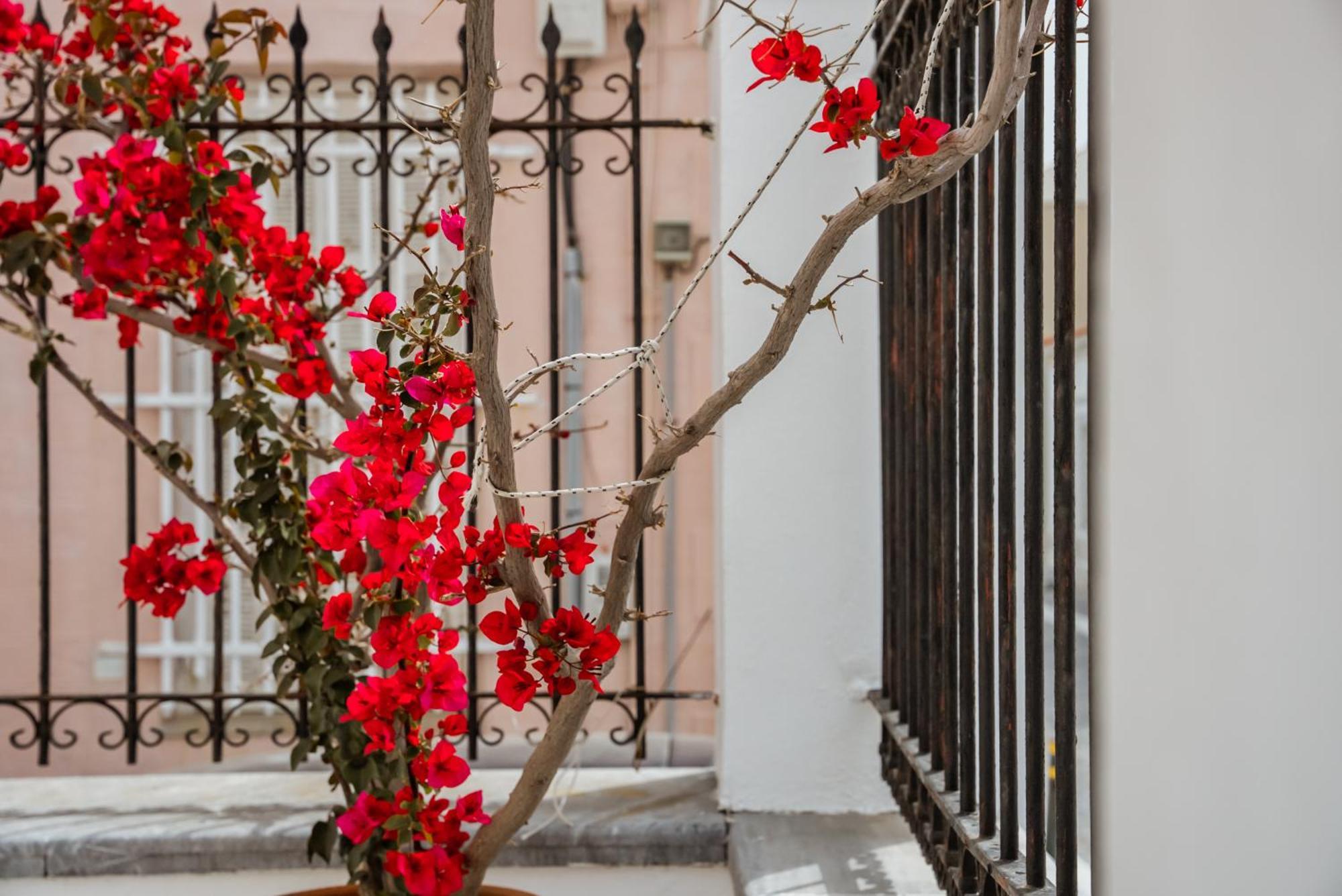 Archontiko Eleni Hotel Ándros 외부 사진